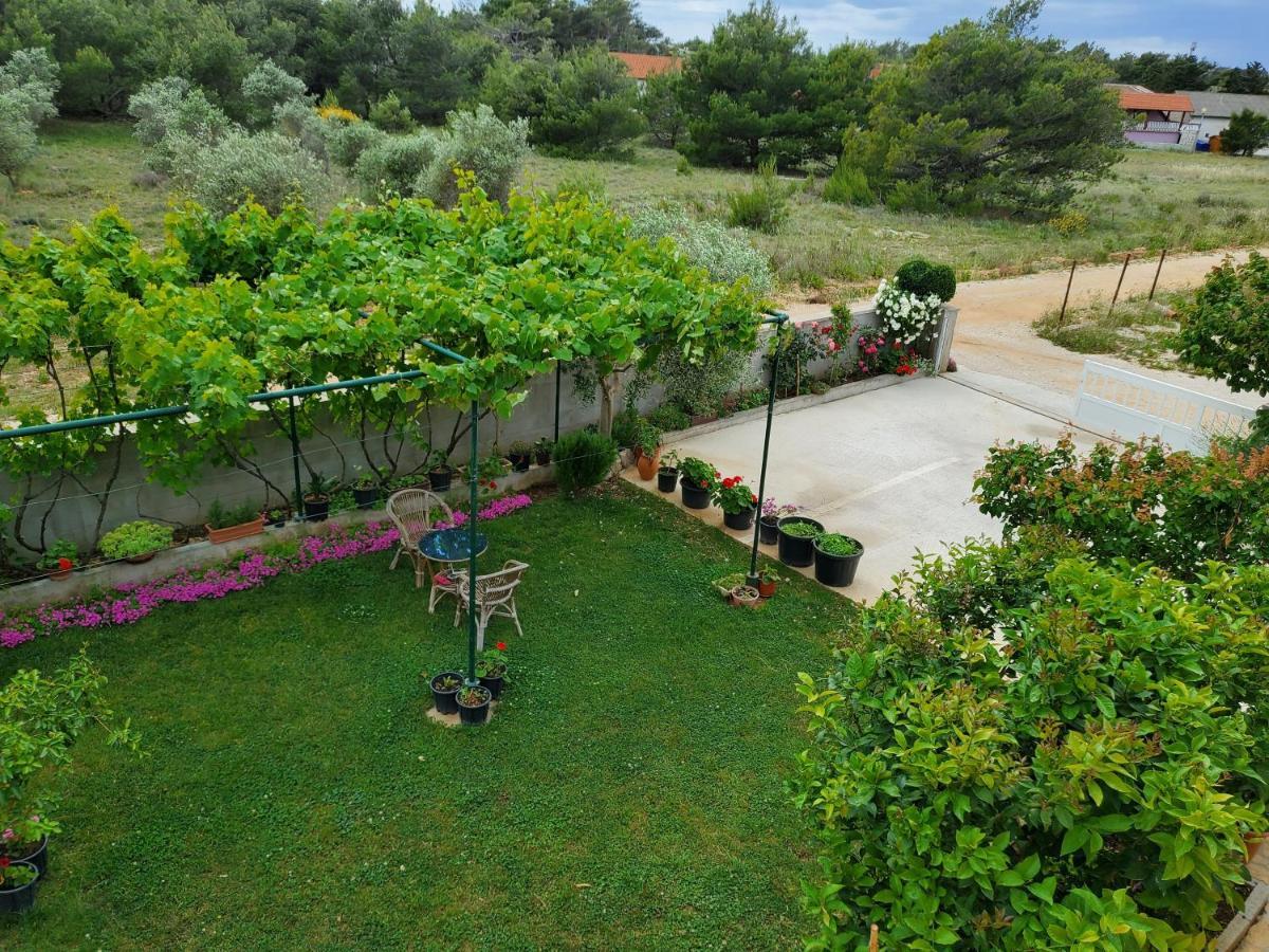 Apartmani Zarko Vir Exterior foto