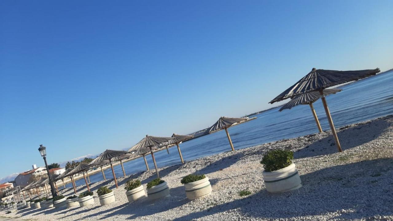 Apartmani Zarko Vir Exterior foto